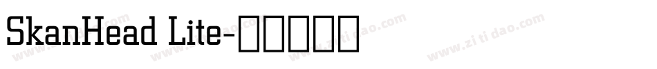 SkanHead Lite字体转换